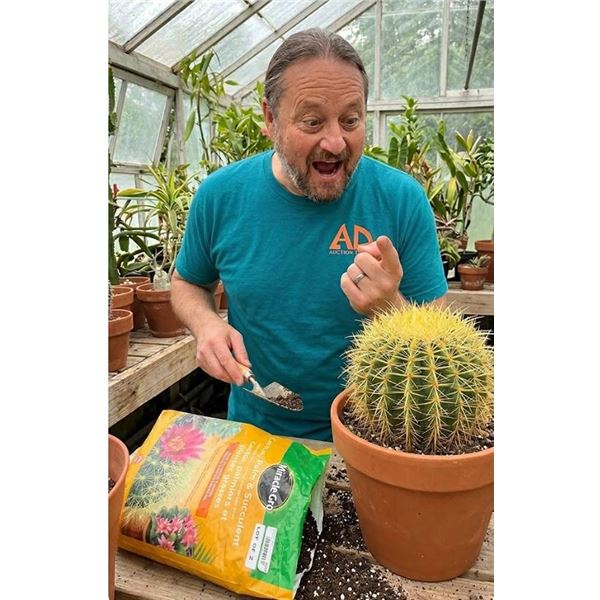 Miracle-Gro Cactus, Palm & Succulent Potting