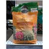 Image 2 : Miracle-Gro Cactus, Palm & Succulent Potting