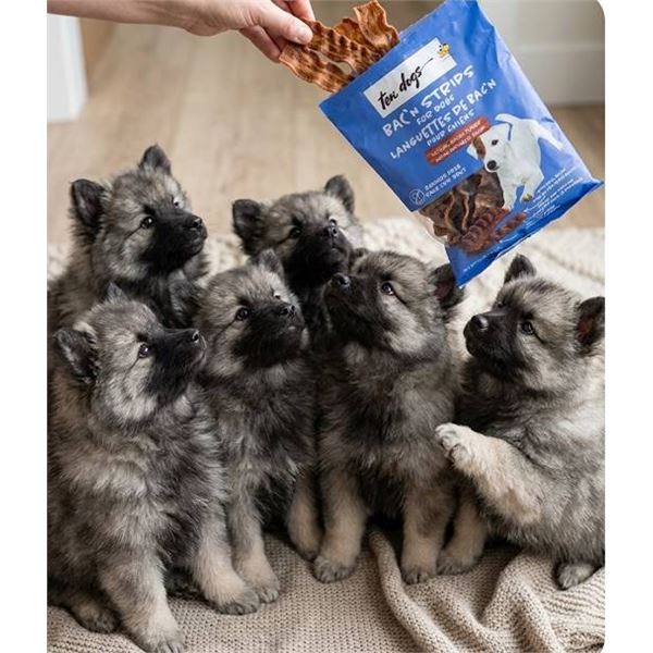 Ten Dogs Bacon Strips for Dogs, 12 x 100g