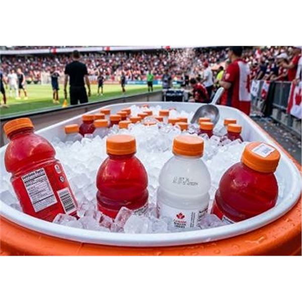 Gatorade Glacier CherryÂ  & Glacier Punch 19z591mL Bottles