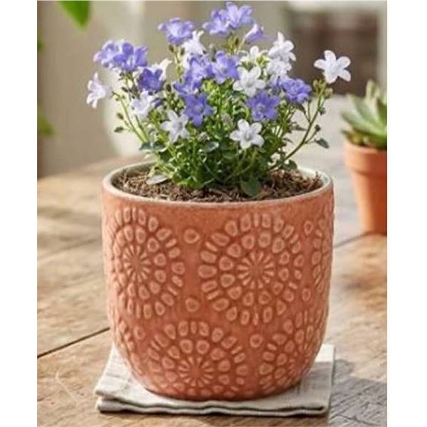 Stone & Beam Floral Embossed Planter Small