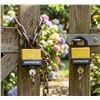 Image 1 : ShopMaster Weather Resistant Padlocks 2-Pack