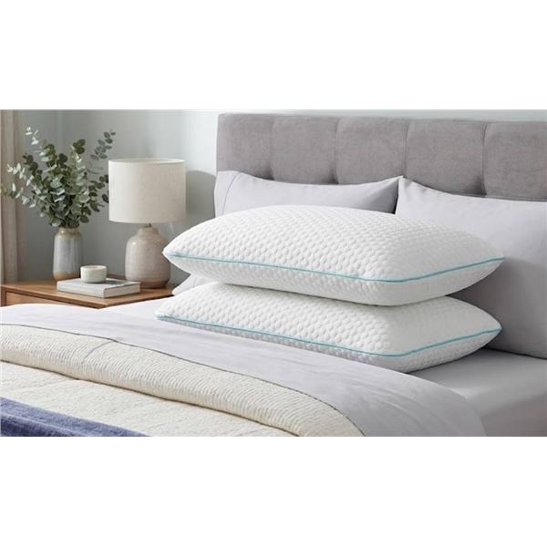 Two White Bed Pillows