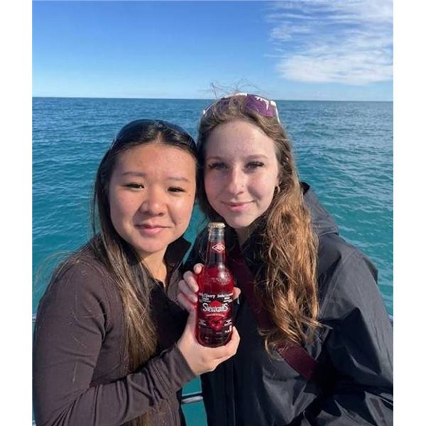 Stewartâ€™s Black Cherry Soda 24x355mL