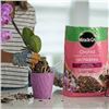 Image 3 : Miracle Grow Orchid Plant Food Bags - Pallet