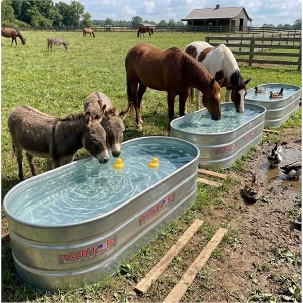 Set of 3 Nested Tarter Oval Mega 300 Galvanized Water Tanks