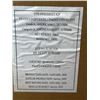 Image 4 : IQF Frozen Strawberries, 10kg Box