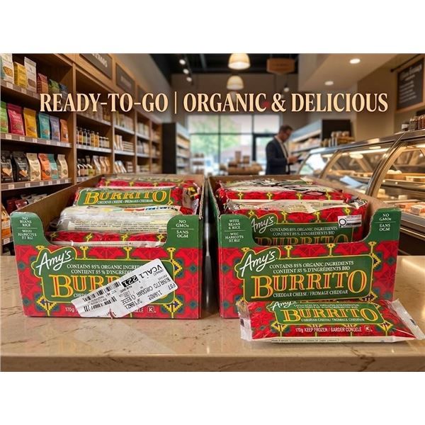 Lot of 2 Amy's Burrito Cheddar Cheese