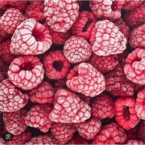 Stahlbush Frozen Red Raspberries 12x284g