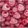 Image 1 : Stahlbush Frozen Red Raspberries 12x284g