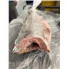 Image 4 : Whole Frozen Salmon Fish. Aprox 20"