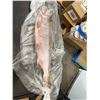 Image 2 : Whole Frozen Salmon Fish. Aprox 20"