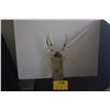 Image 1 : 10" ART GLASS STAG; SIGNED