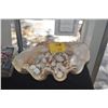 Image 1 : LARGE CLAM SHELL W/ASSORTED SHELLS (20")