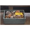 Image 1 : COLLECTION OF SEASHELLS IN WOODEN CRATE