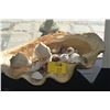 Image 1 : LARGE 26" CLAIM SHELL W/ASSORTED SEASHELLS