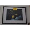Image 1 : FRAMED BREADFRUIT POSTER, BISHOP MUSEUM PRESS (25" X 19")