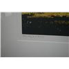 Image 4 : FRAMED APRIL GORNIK COLOR ETCHING, "SKY & MIRROR", 1998 (30" X 28")