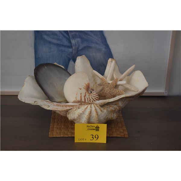 19" CLAM SHELL W/ASSORTED SHELLS & CORAL (DOES NOT INCLUDE MAT)