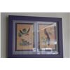 Image 4 : FRAMED VINTAGE FEATHER CRAFT ART BIRDS & JAPANESE WATERCOLOR OF PURPLE IRISES (2 PCS)