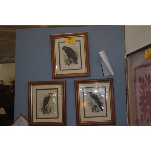 KOA FRAMED ANTIQUE COLLECTION OF POLYCHROME HAWAIIAN RARE HAWKS (19" X 16" EA.) (3 PCS)