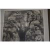 Image 3 : FRAMED LINOLEUM BLOCK PRINT, "AS BROTHER BIRDS VIEW SAINT FRANCIS"; SIGNED JULIETTE MAY FRASER, 1971