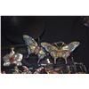 Image 3 : COLLECTION OF BUTTERFLY PINS & ORNAMENTS IN ETCHED GLASS TRAY (20 PCS)