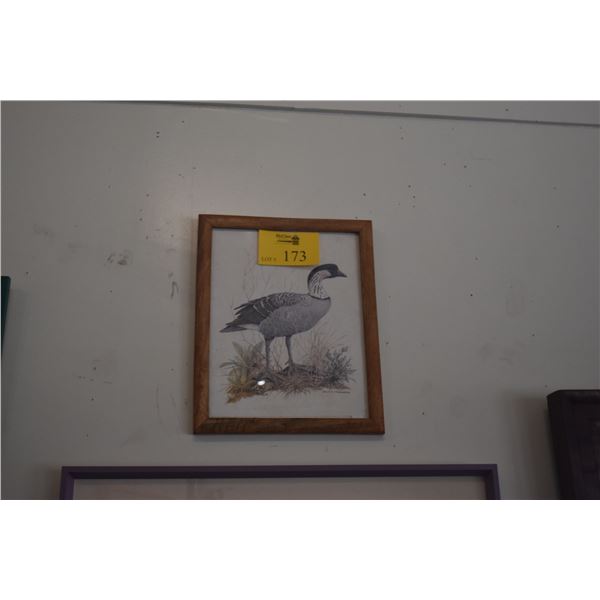 FRAMED VINTAGE PRINT OF NENE (HAWAIIAN GOOSE) BY DALE C. THOMPSON (12 3/4" X 15 3/4")