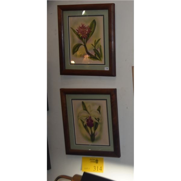 FRAMED MUNDORFF PRINTS (RED HIBISCUS, PLUMERIA & CATTLEYA ORCHID) (3 PCS)