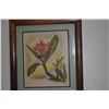 Image 2 : FRAMED MUNDORFF PRINTS (RED HIBISCUS, PLUMERIA & CATTLEYA ORCHID) (3 PCS)