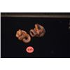 Image 1 : BOXWOOD "SNAKE" NETSUKES (2 PCS)