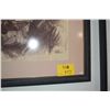 Image 3 : FRAMED ANTHONY GRUERIO PENCIL DRAWING, PANIOLO (21 3/4" X 23 7/8")