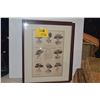Image 1 : COLLECTION OF FRAMED ARTWORK (3 PCS)