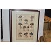 Image 2 : COLLECTION OF FRAMED ARTWORK (3 PCS)