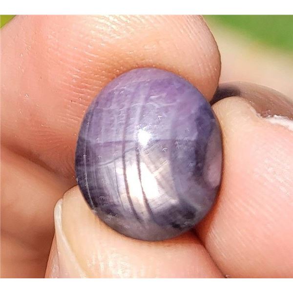 Natural Burmese Ruby Oval Cabochon 14.80ct with Good Asterism