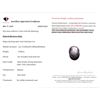 Image 3 : Natural Burmese Ruby Oval Cabochon 14.80ct with Good Asterism