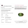 Image 3 : 16.16ct Natural Untreated Himalayan Peridot Oval Cut Gemstone