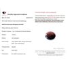 Image 3 : Natural Untreated Madagascar Ruby Oval Cut 8.85cts