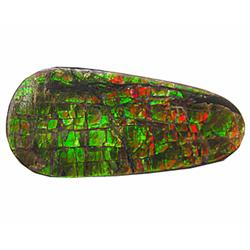 6.14ct Wonderful Natural Multi Color Ammolite Fancy (GEM-19641)