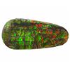 Image 1 : 6.14ct Wonderful Natural Multi Color Ammolite Fancy (GEM-19641)