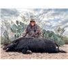 Image 2 : South Texas Women's Hunt & Retreat for Four