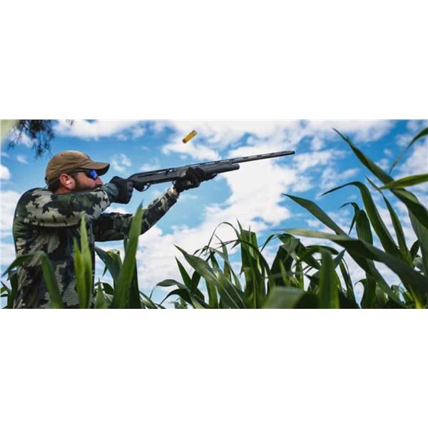 4-Day Argentina Dove Hunt for 6