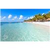 Image 3 : 4-Night Private Tulum Villa Getaway for Eight