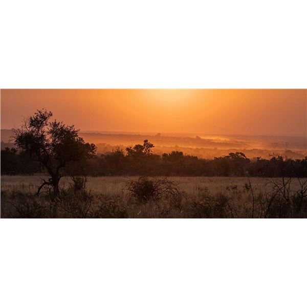10-Day South Africa Plains Game Safari for 2 Hunters