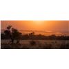 Image 1 : 10-Day South Africa Plains Game Safari for 2 Hunters