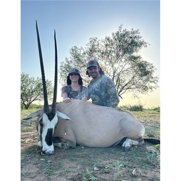 4-Day South Texas Scimbok Hunt