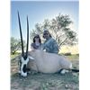 Image 1 : 4-Day South Texas Scimbok Hunt