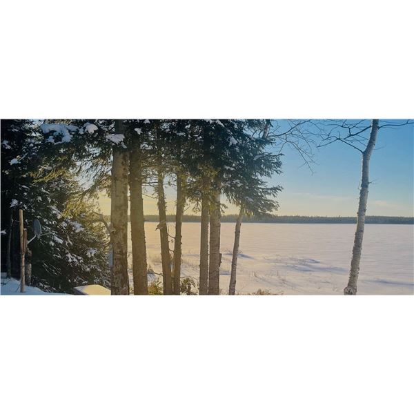5-Day Canadian Timber Wolf Hunt
