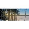 Image 1 : 5-Day Canadian Timber Wolf Hunt