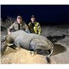 Image 3 : 4-Day, 3-Night Trophy Hunt for 1 or 2 Hunters & 2 Non-Hunters Includes a Total of 4 Trophy Animals